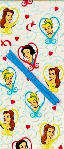 Disney Princess Treat Bags - Click Image to Close